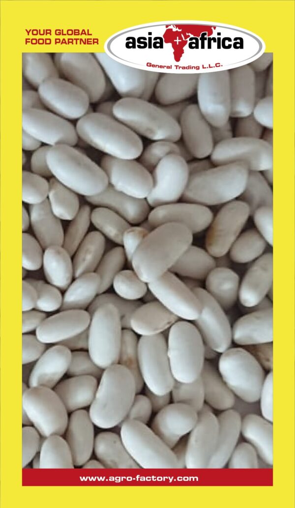 Samad White Kidney Beans
