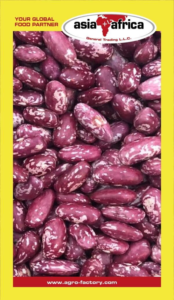 Samad Purple Speckled Kidney Beans