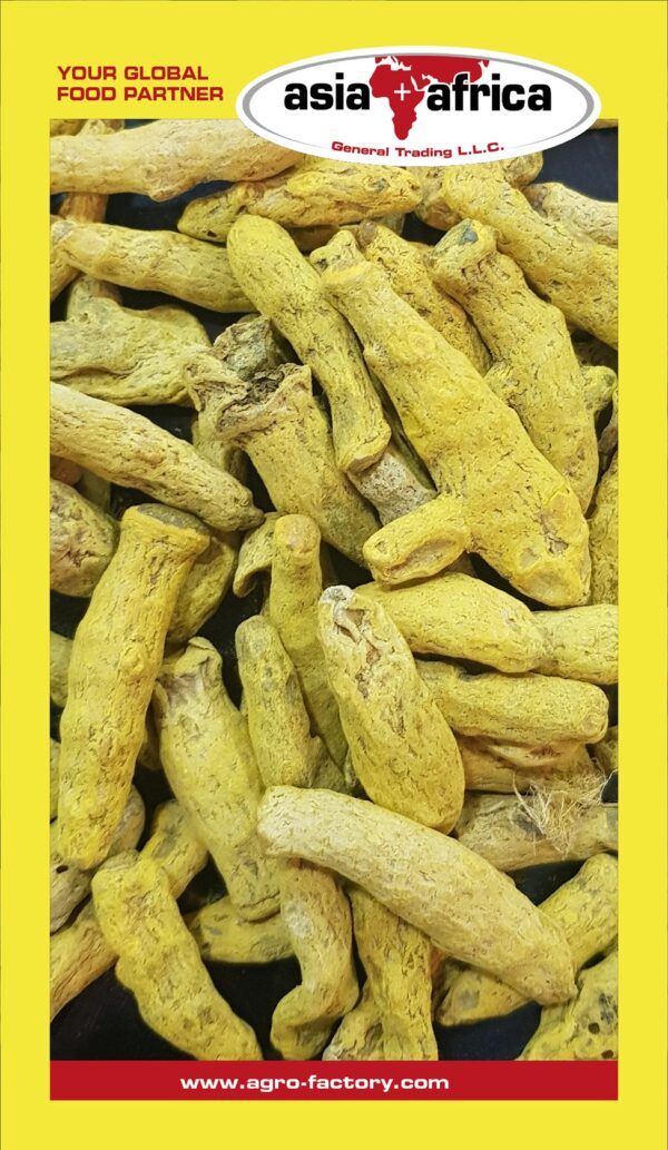 Akash Turmeric