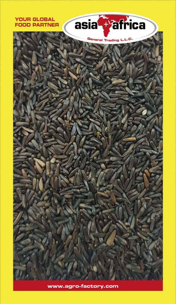 232 Niger Seed