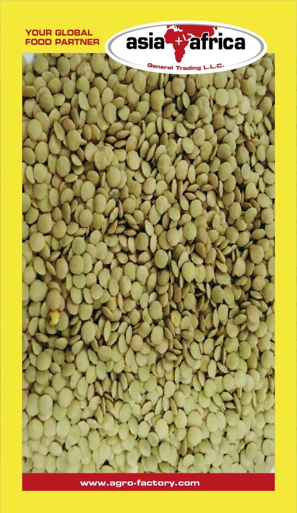 Samad Green Lentils