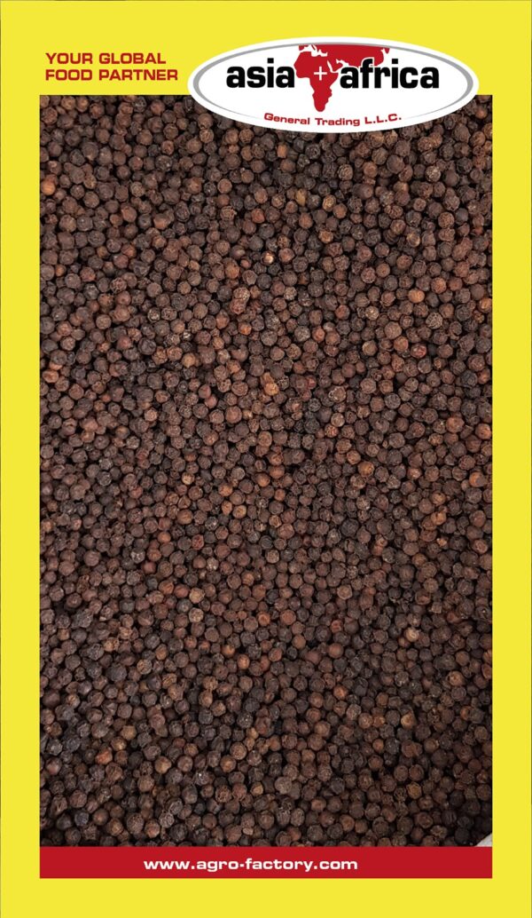 Akash Black Pepper