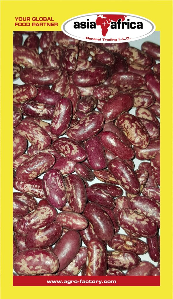 Samad Purple Speckled Kidney Beans - Image 2