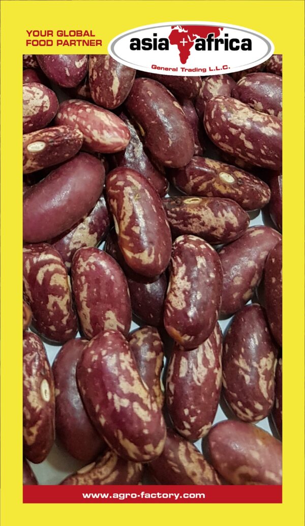 Samad Purple Speckled Kidney Beans - Image 3