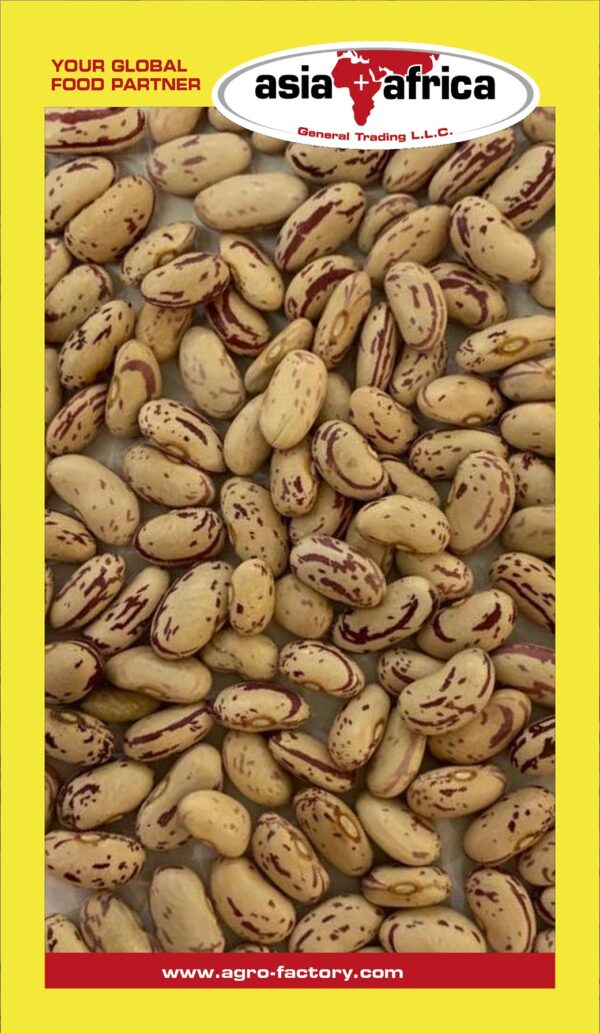 Samad Light Speckled Kidney Beans