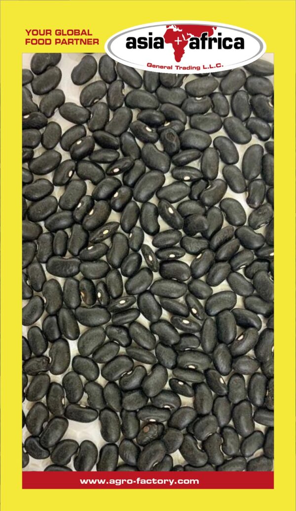 Samad Black Turtle Beans - Image 2