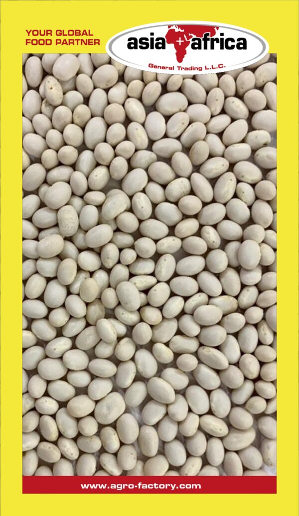 Samad White Pea Beans