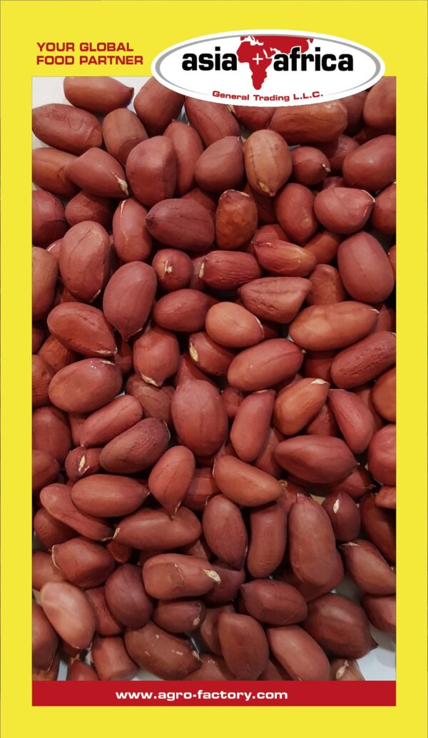 Day to Day Peanuts Kernels - Image 3