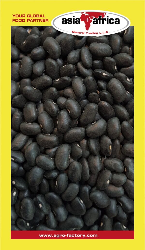 Samad Black Turtle Beans