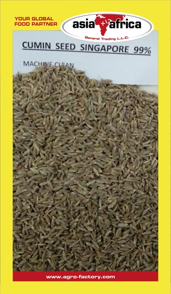 Akash Singapore Cumin Seeds