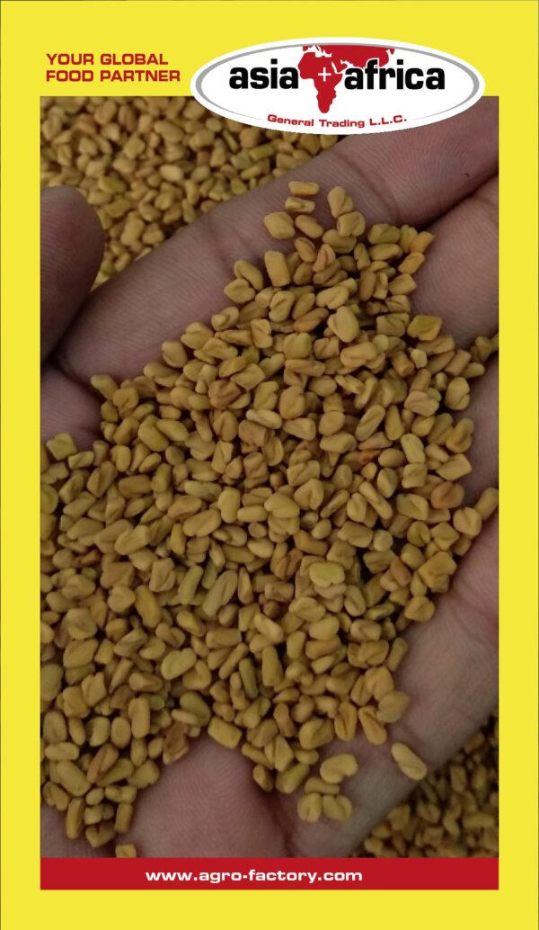 Akash Fenugreek Seed - Image 2
