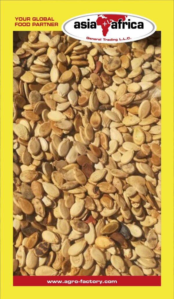 232 Watermelon Seeds - Image 2