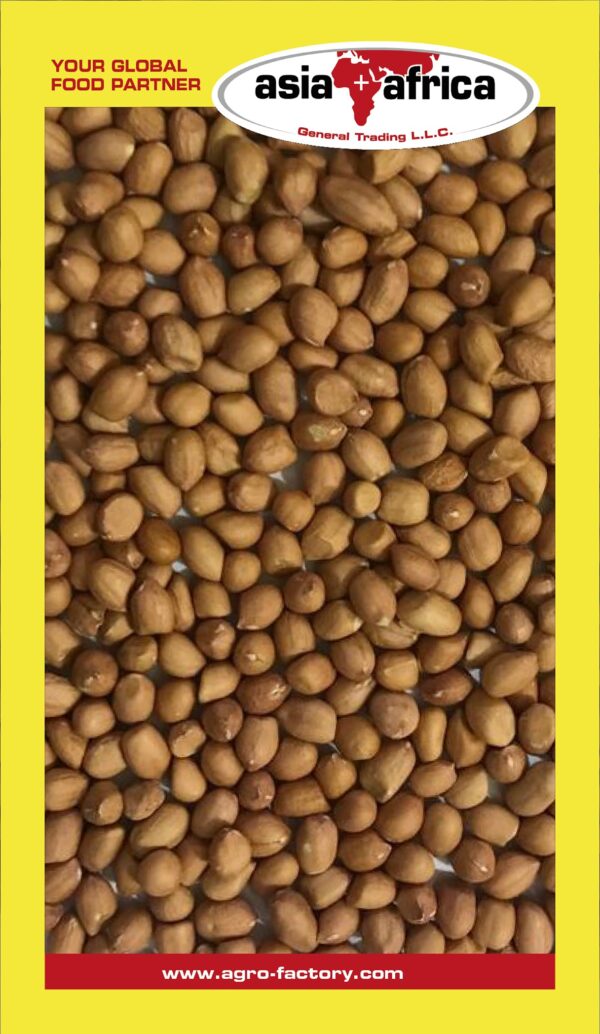 Day to Day Peanuts Kernels - Image 4