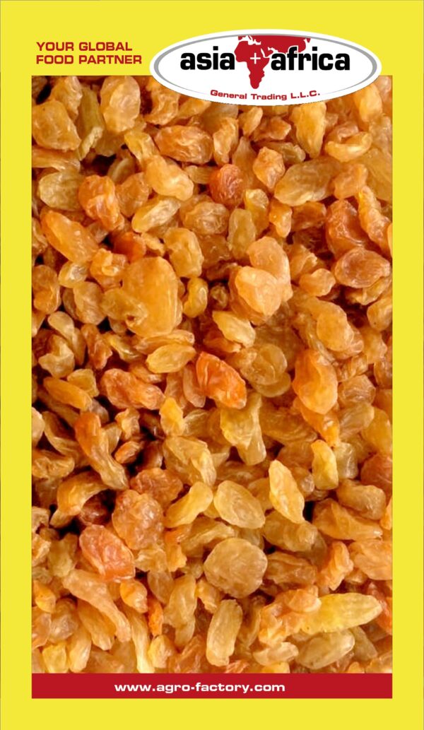 Akash Raisins