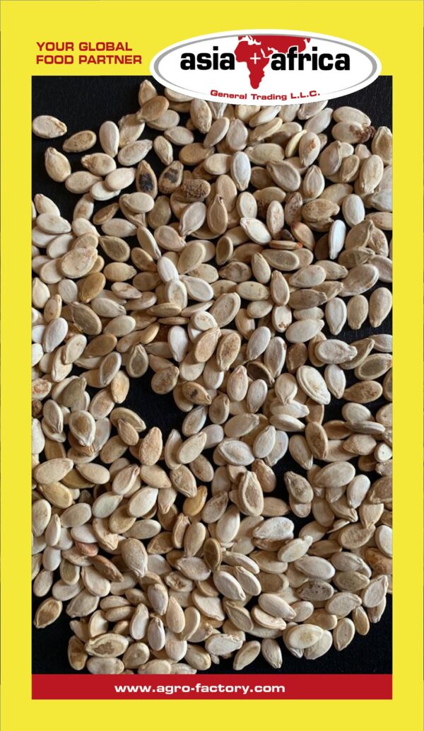 232 Watermelon Seeds