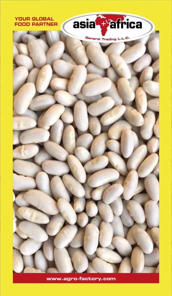 Samad White Kidney Beans - Image 2
