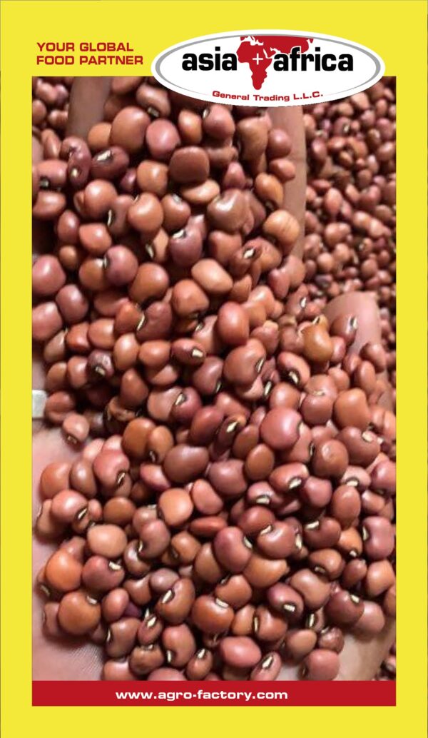 Samad Red Kidney Beans