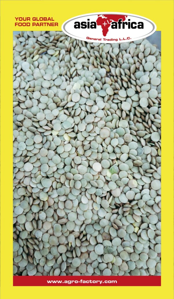 Samad Green Lentils - Image 2