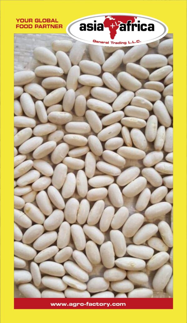 Samad White Kidney Beans - Image 3
