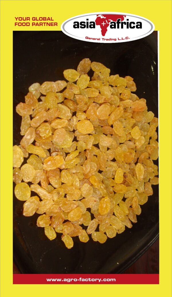 Akash Raisins - Image 2