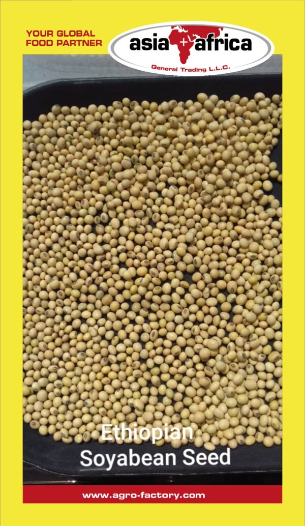 Mama & Baba Soya Bean Ethiopia - Image 2