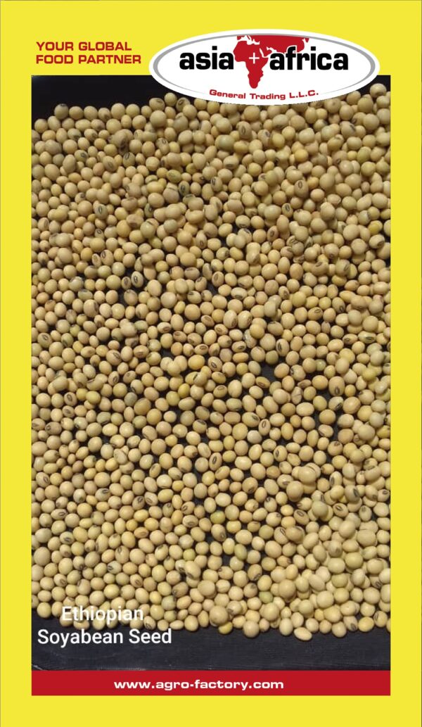 Mama & Baba Soya Bean Ethiopia