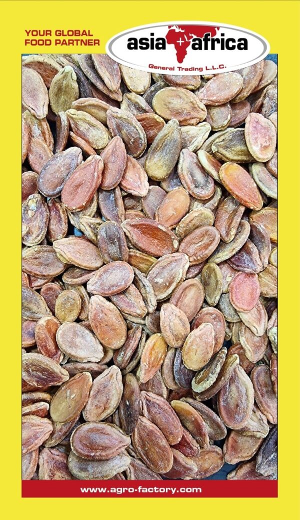 232 Watermelon Seeds - Image 3