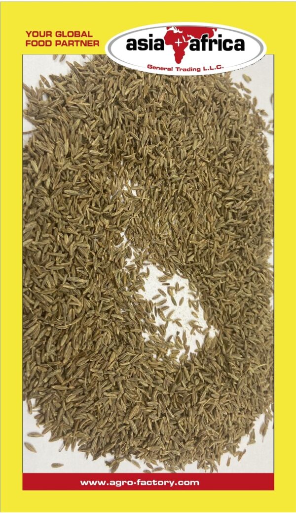 Akash Cumin
