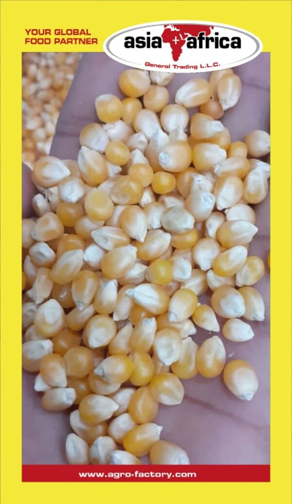 Crown Premium Quality Popcorn - Image 2