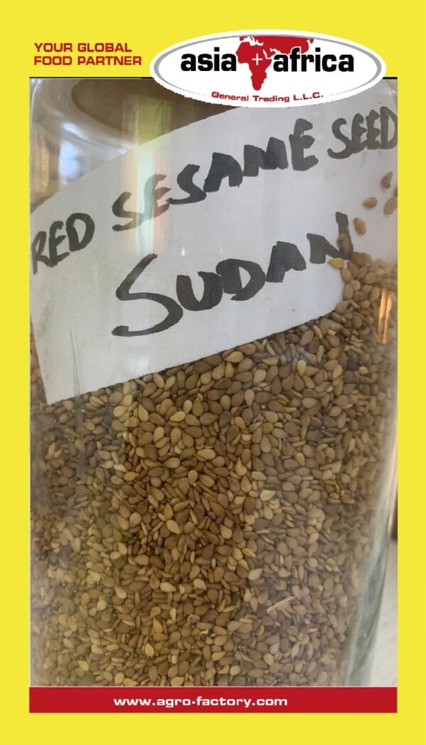 Day to Day Red Sesame Seeds Sudan