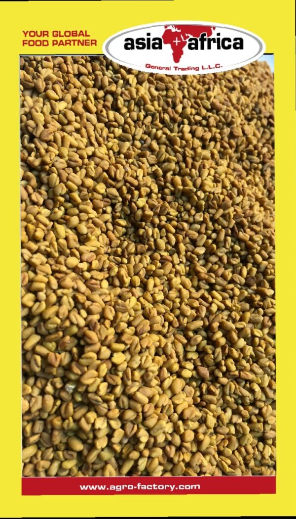 Akash Fenugreek Seed