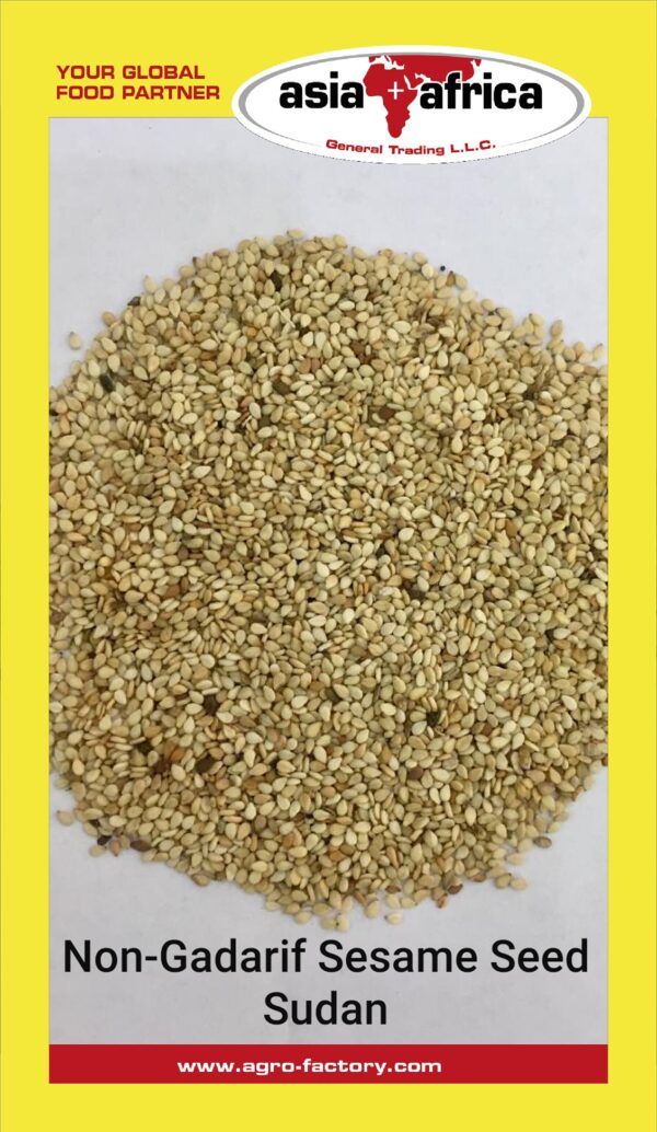 Day to Day Sudan Non Gadarif Sesame Seeds