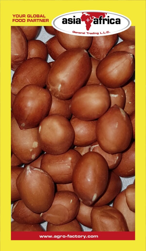 Day to Day Peanuts Kernels - Image 2