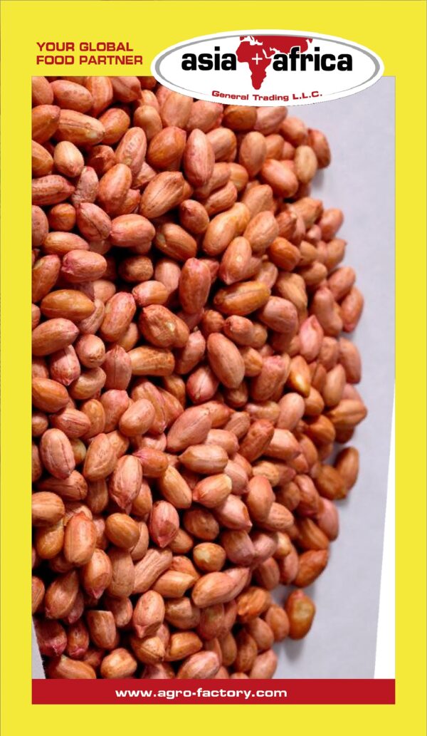 Day to Day Peanuts Kernels
