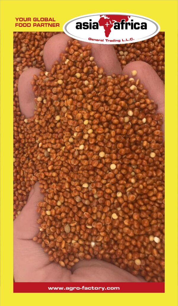 Akash Red Millet