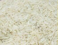 Rice