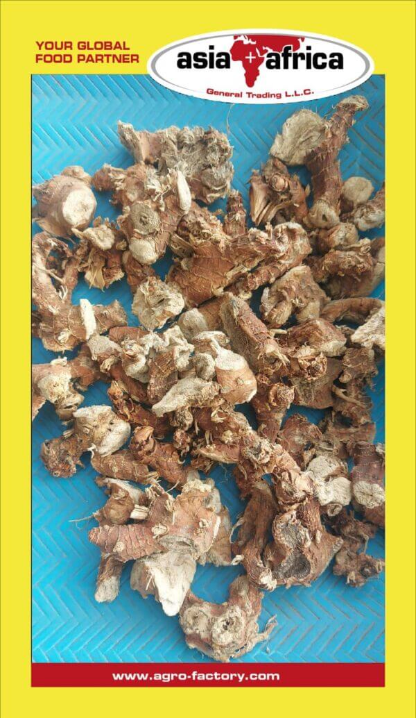 GALANGAL ROOTS