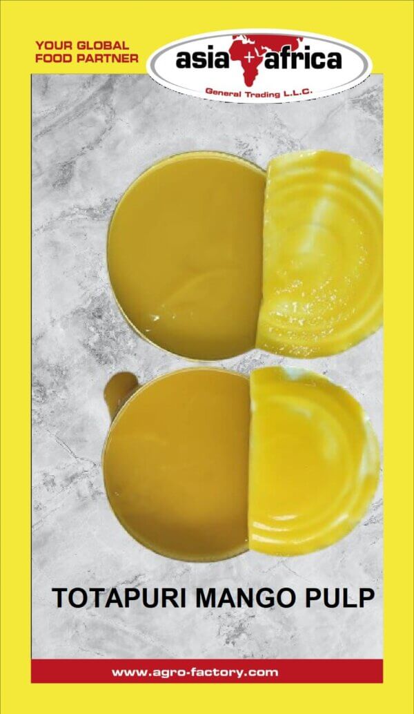 DAY TO DAY BRAND TOTAPURI MANGO PULP