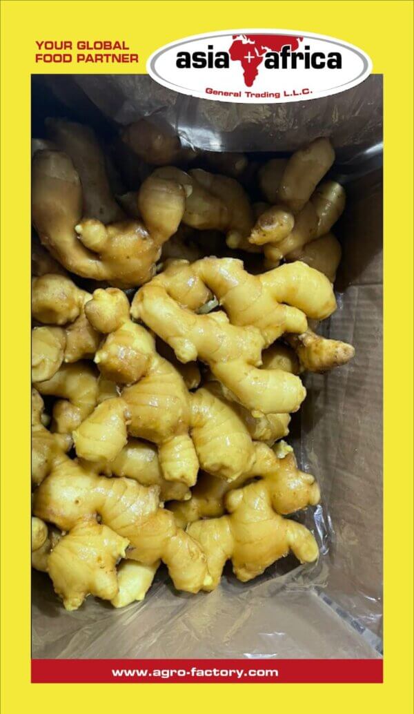 Fresh Ginger