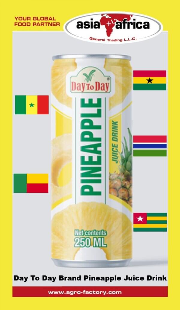 DAY TO DAY BRAND CANNED JUICE - Image 4
