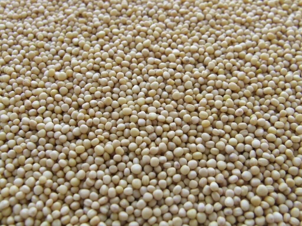 Wholesale Soybean Meal Exporter to Indonesia