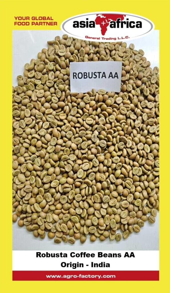 Robusta AA Coffee Beans Supplier Algeria