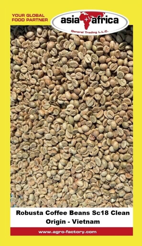 Robusta Sc18 coffee beans exporter Ethiopia