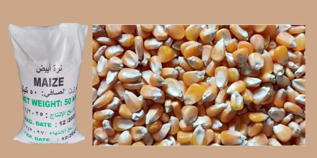 Wholesale Buy Yellow Maize Animal