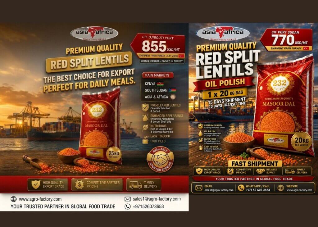 Red split lentils Masoor Dal oil polish CIF Mombasa Kenya and Port Sudan adas ahmar
