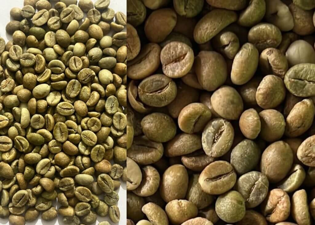 Indian Robusta Cherry AA green coffee beans 60kg jute bag AED 1320 Dubai ex warehouse and USD 6194 per MT CNF Bandar Abbas Iran