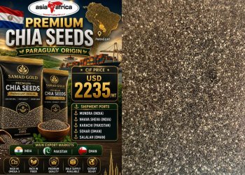 Buy Premium Chia Seeds in Bulk