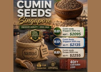 Bulk Cumin Seeds GCC, Afghanistan, Europe