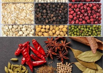 Wholesale Indian Spices Export to New York USA