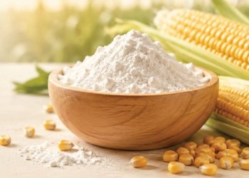 Day to Day corn starch India origin USD 556 per MT CIF Djibouti Port 25kg PP bag 15 day shipment Ethiopia